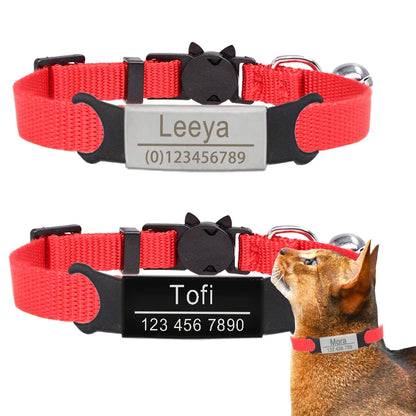 Personalized Cat Safety Collar