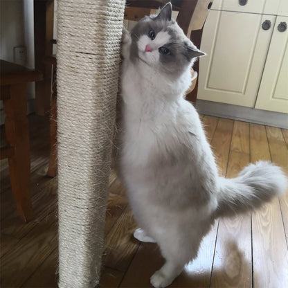 DIY Sisal Rope Cat Scratching Post