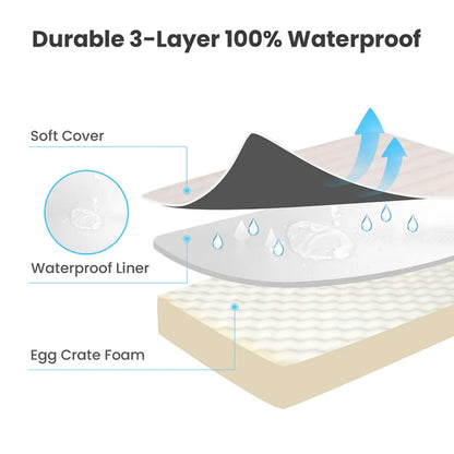 Lit pour chien avec fermeture éclair et matelas amovible