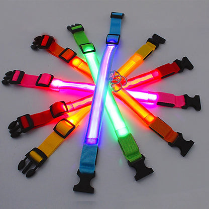 Collier de chien lumineux LED