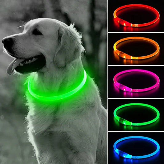 Luminous LED Dog Collar