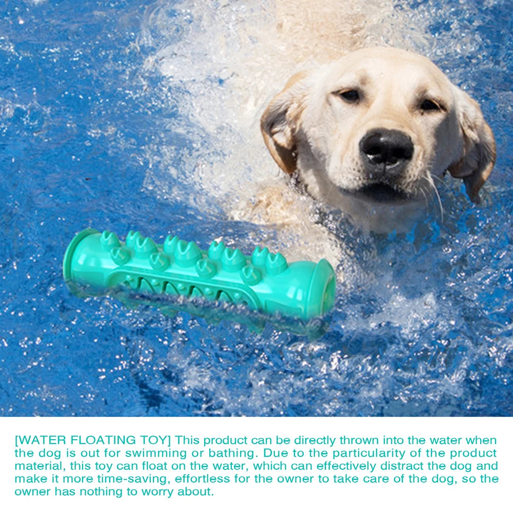 Jouet de bâton de brosse à dents molaire pour chien