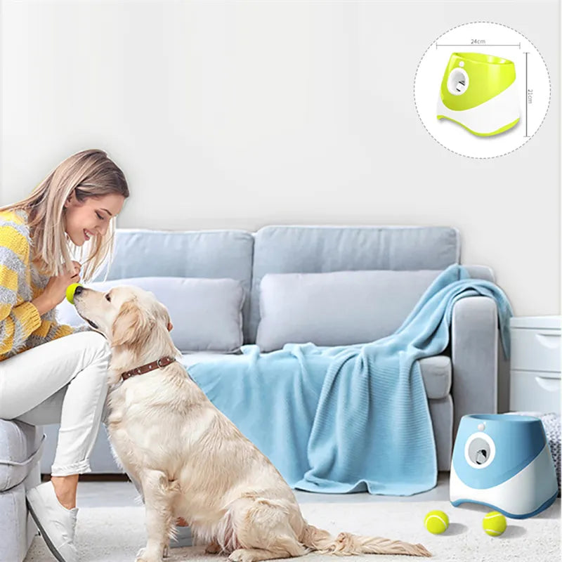 Lanceur automatique de tennis pour chiens