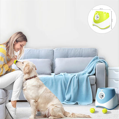 Lanceur automatique de tennis pour chiens