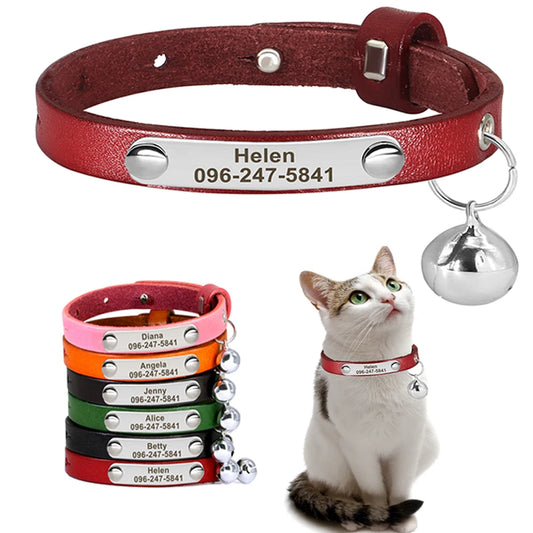 Collier d'identification de chat personnalisé