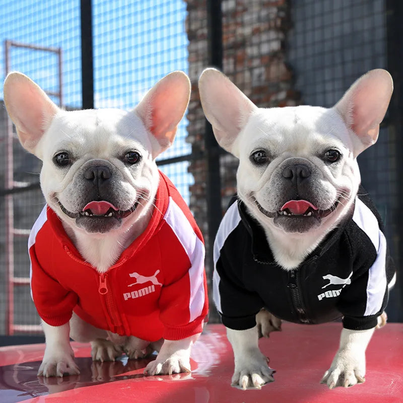 Stylish Baseball Dog Jacket