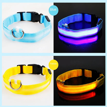 Collier de chien lumineux LED