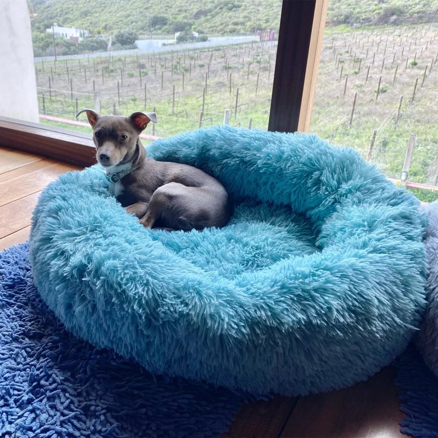 Super Soft Dog Donut Plush Bed