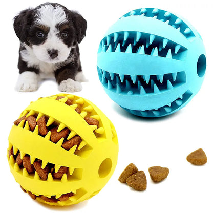 Ultimate Dental Care Dog Ball Toy – Keep Your Pup's Smile Bright!