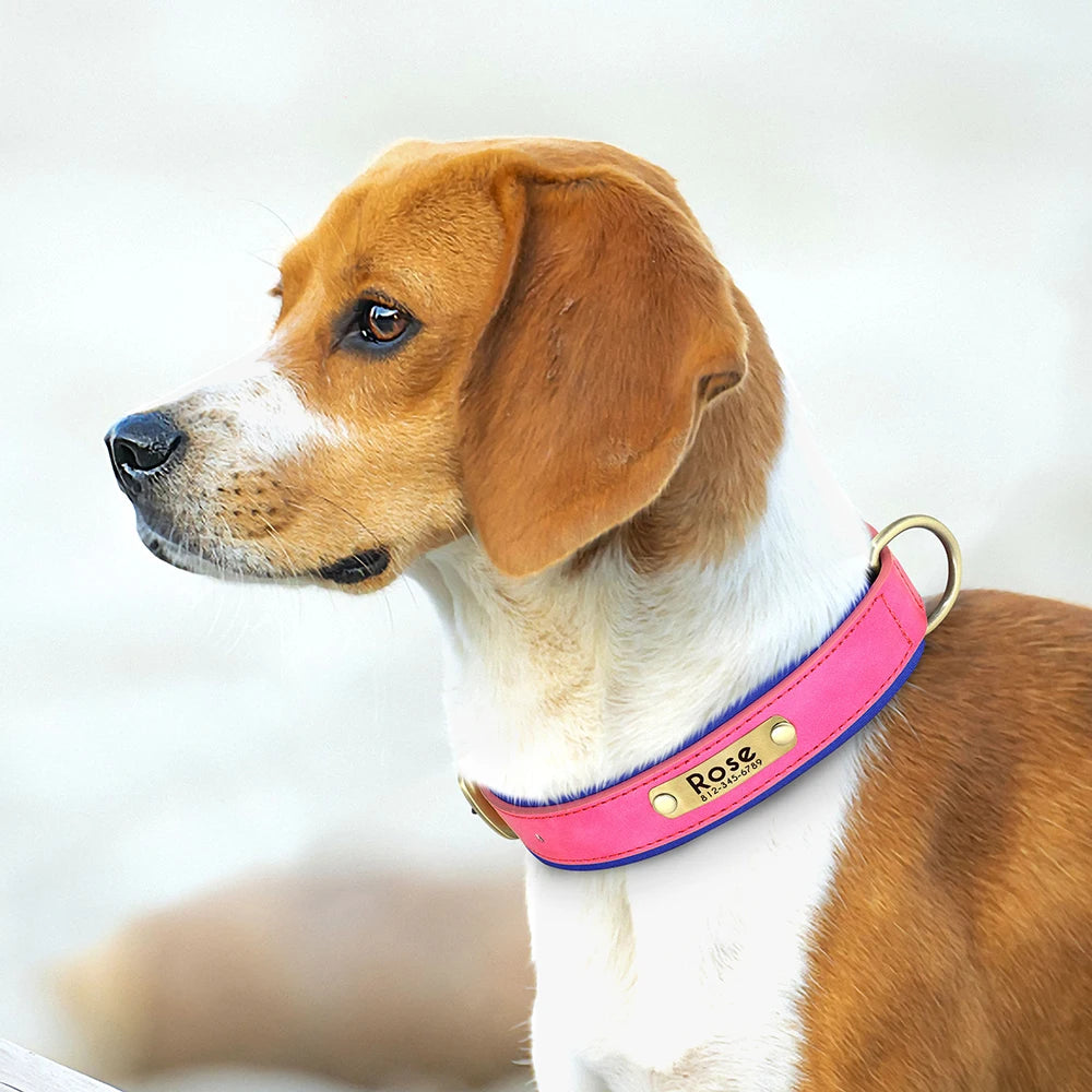 Collier pour chien en cuir personnalisé