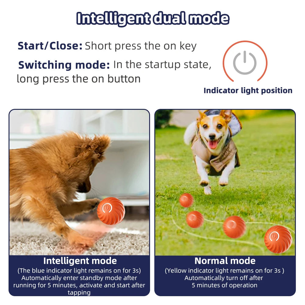 Smart Dog Bouncing Ball Toy