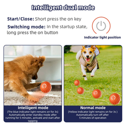 Smart Dog Bouncing Ball Toy