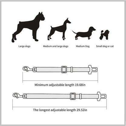 Ceinture de sécurité pour chien SecurePaws