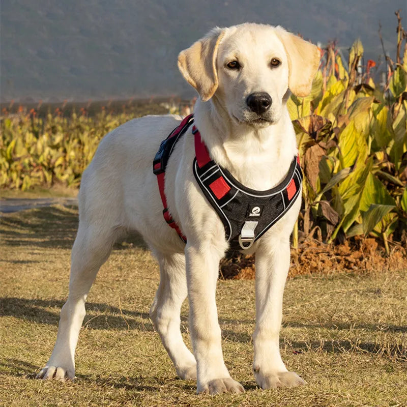 Reflective Adjustable Dog Harness Vest