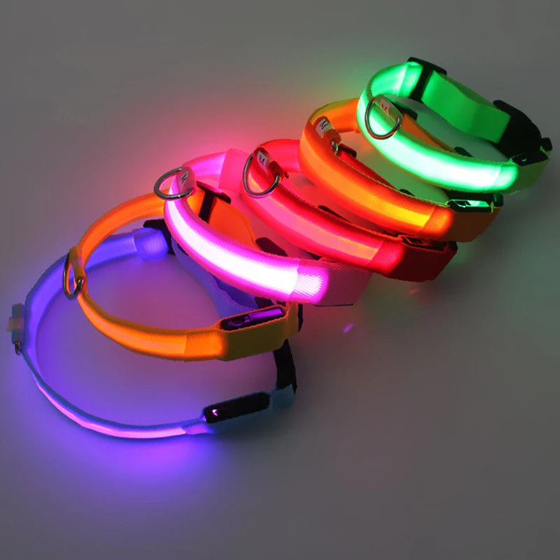 Collier de chien lumineux LED