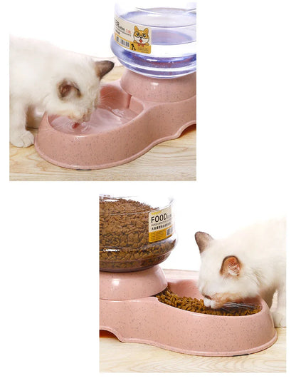 Pet Automatic Feeder & Drinker