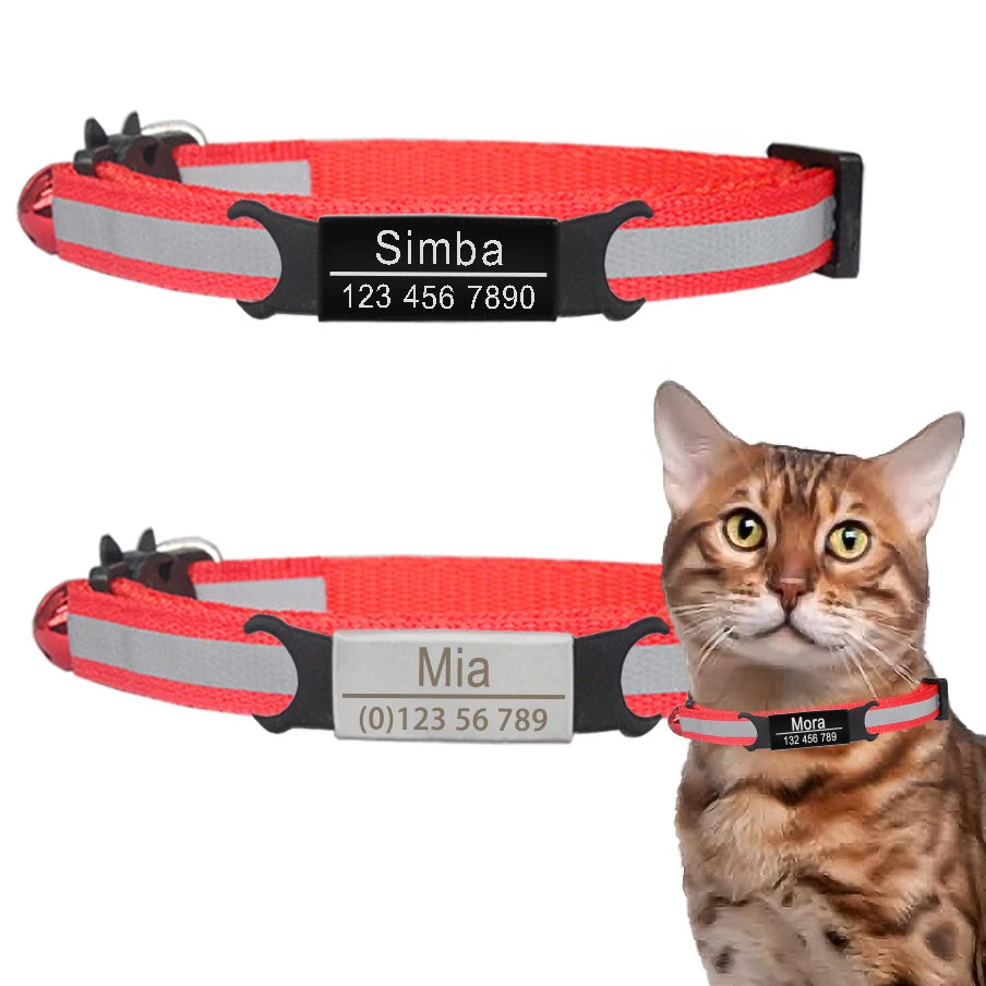 Custom Cat Safety Collar