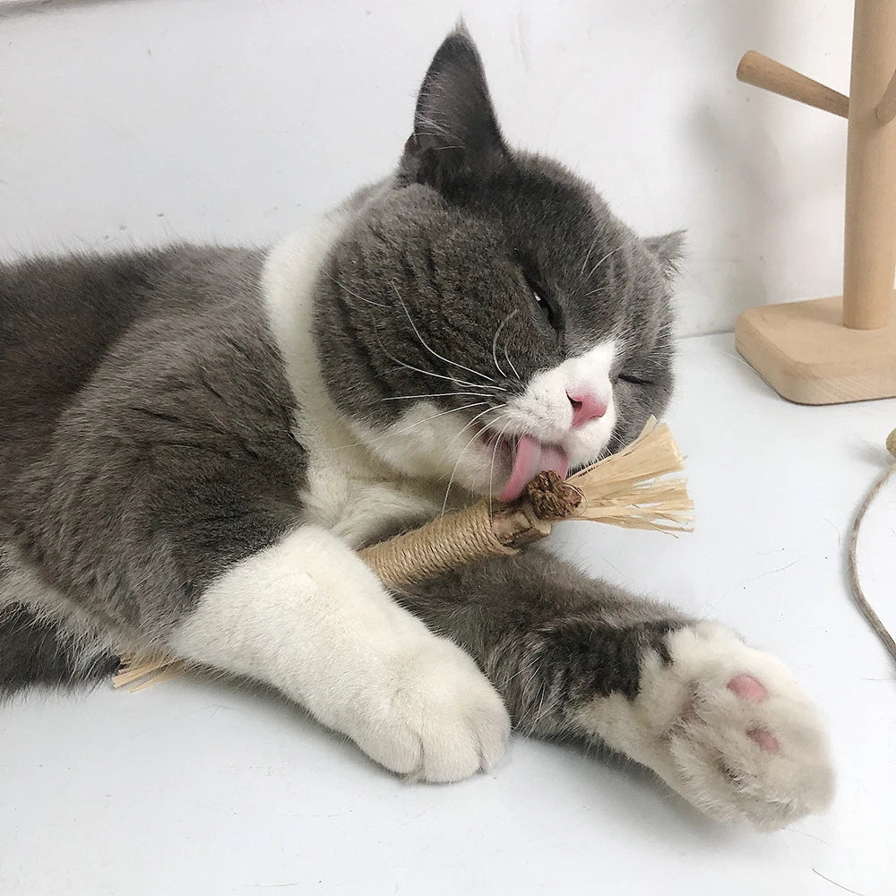 Cats Natural Matatabi Stick Snack for Tooth Cleaning