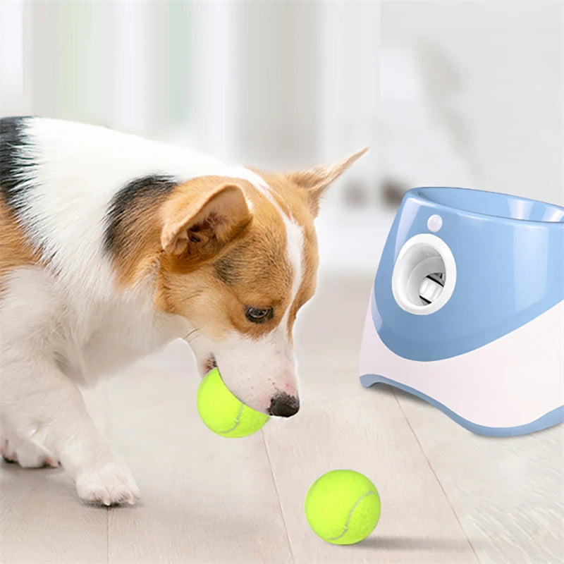 Lanceur automatique de tennis pour chiens