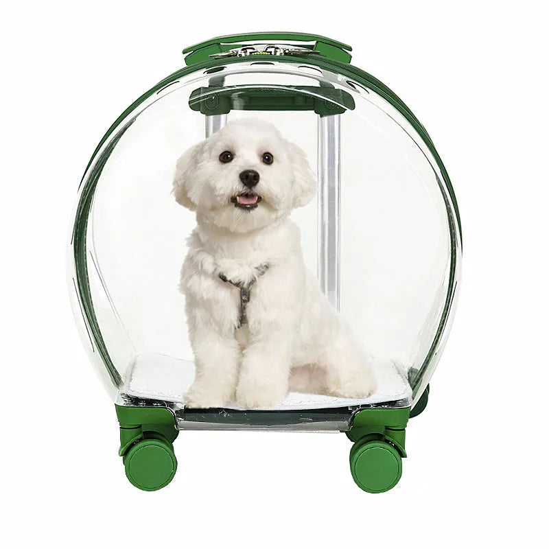 Transparent Pet Trolley Carrier