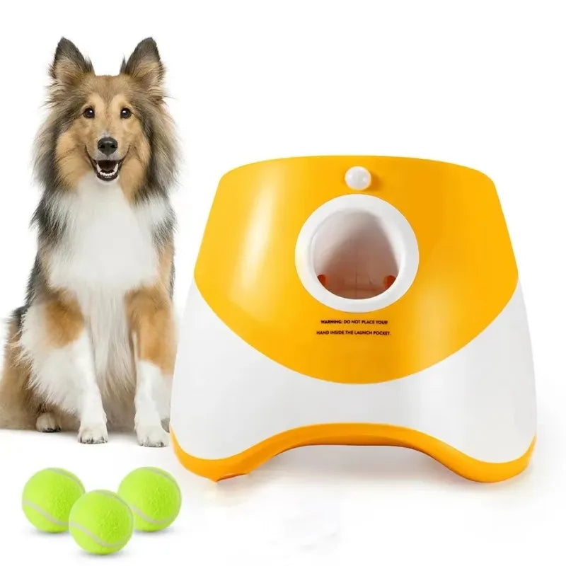 Lanceur automatique de tennis pour chiens