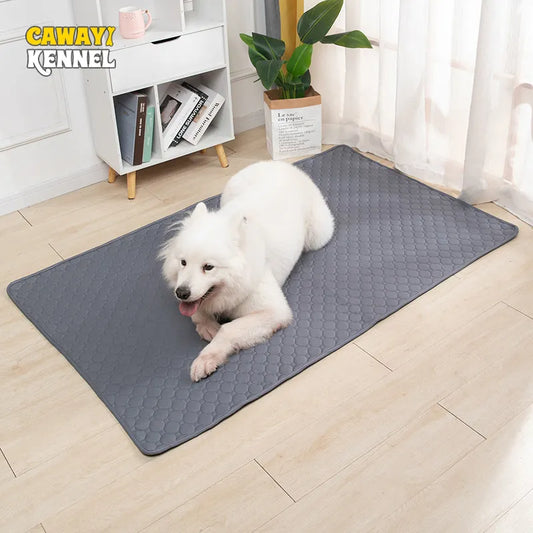 Coussin d'entraînement réutilisable imperméable pour animaux de compagnie