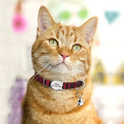 Printed Personalized Cat Collar