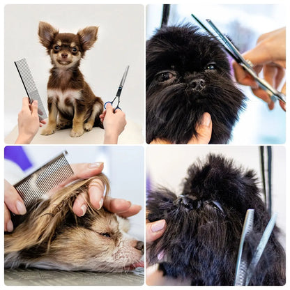 Ensemble de ciseaux de toilettage professionnels pour animaux de compagnie