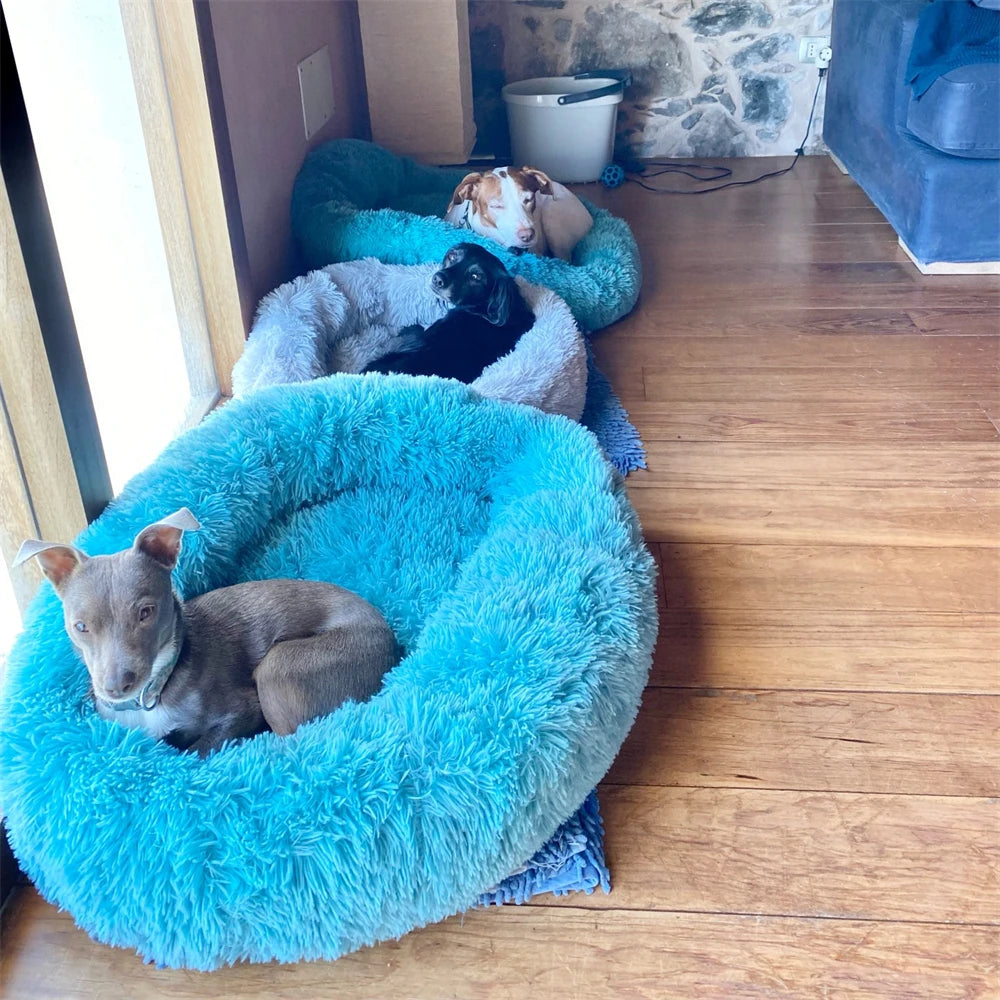 Super Soft Dog Donut Plush Bed