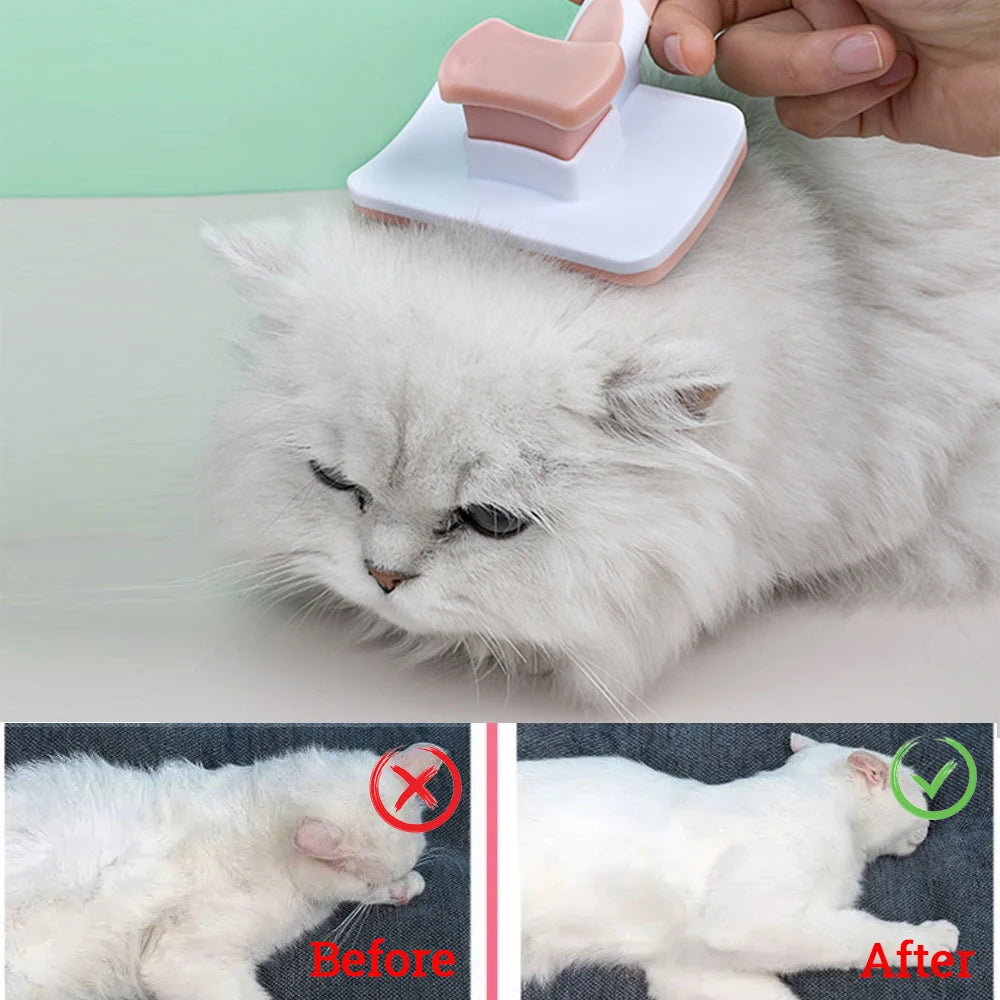 GroomPaws : Peigne pour animaux de compagnie en acier inoxydable