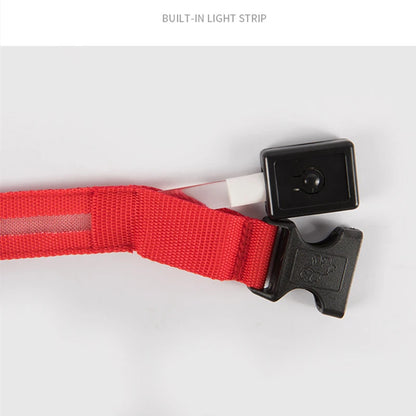 Collier de chien lumineux LED