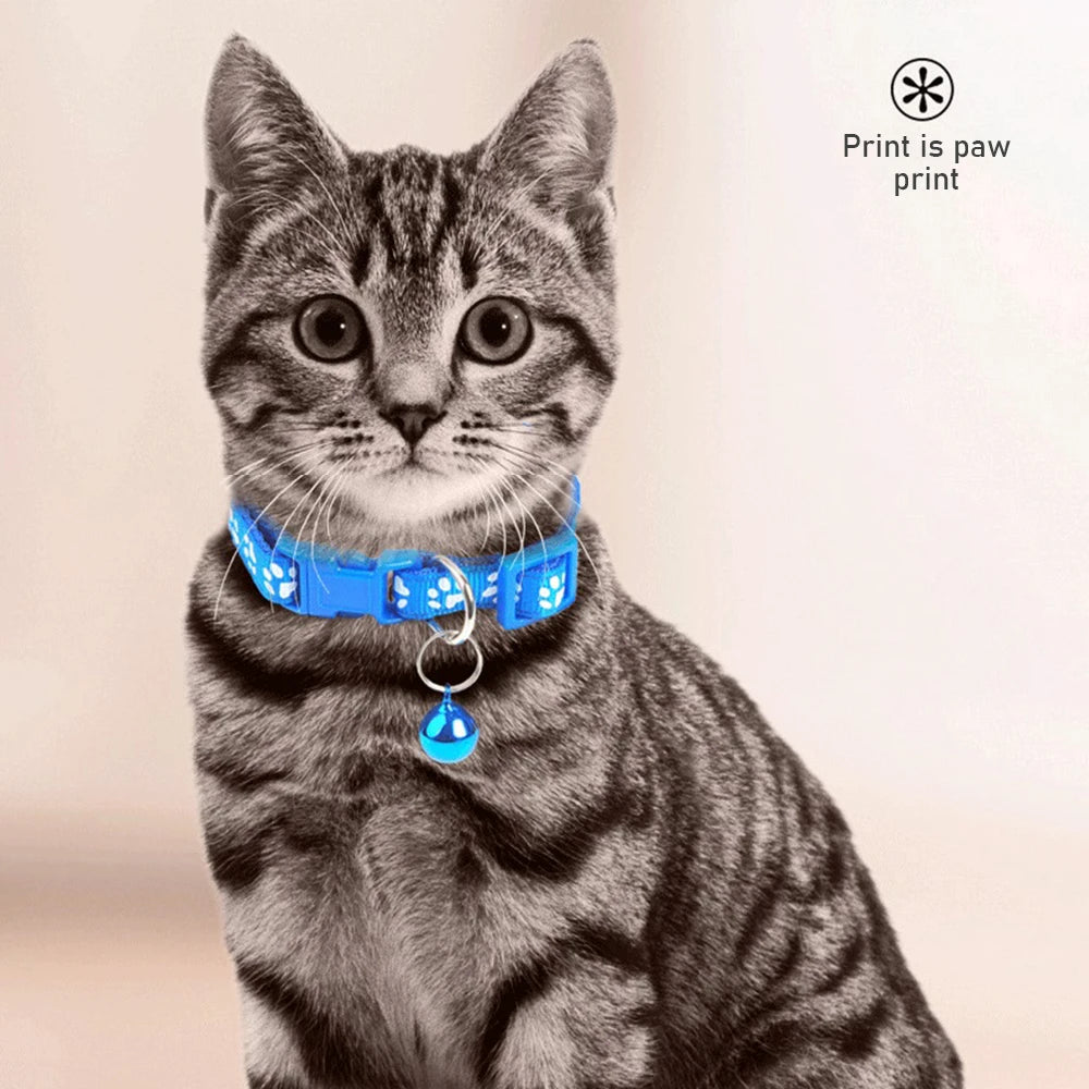 Vibrant Paw Print Cat Collar