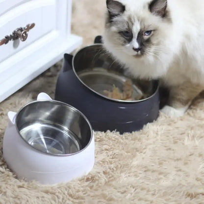 Elevated Pet Bowl