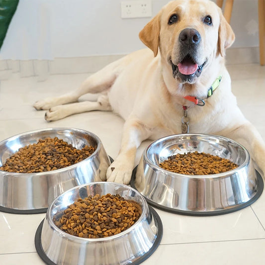 Bol pour animaux de compagnie en acier inoxydable