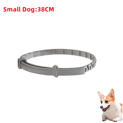 Shield Guard Pet Collar