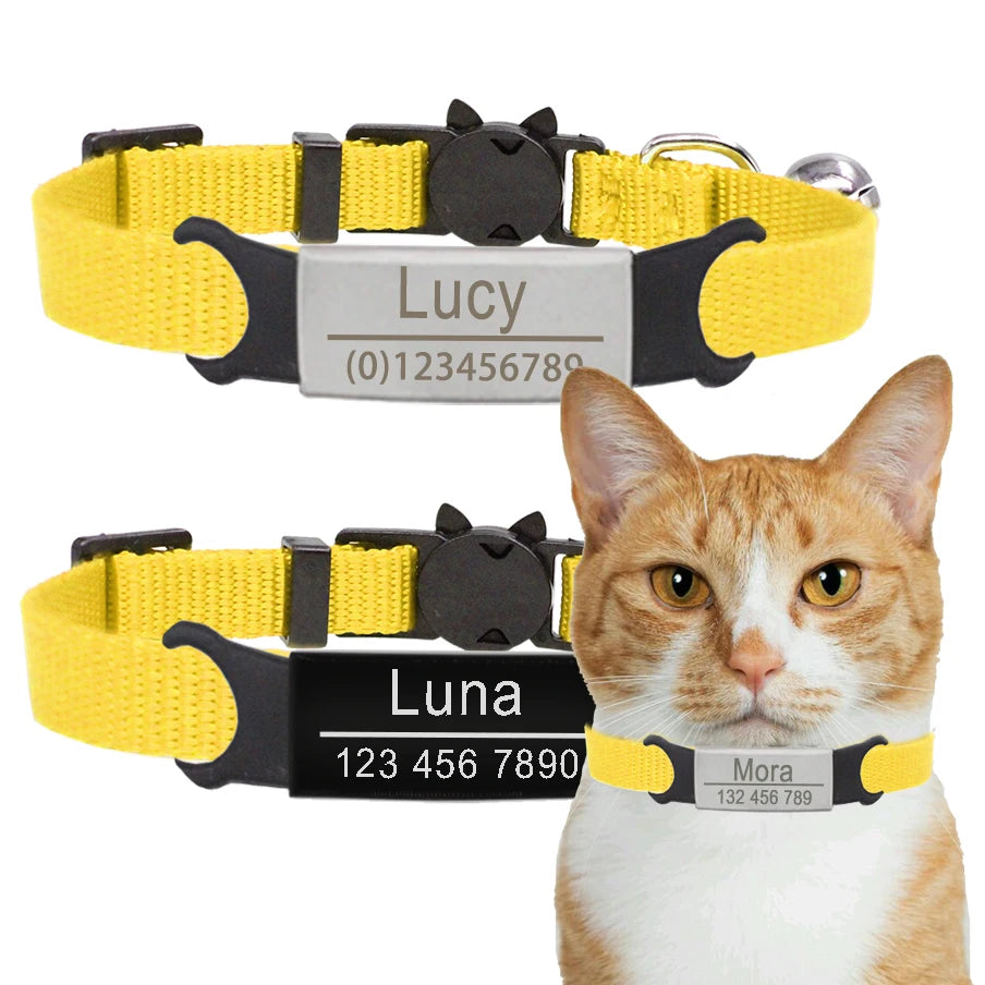 Personalized Cat Safety Collar