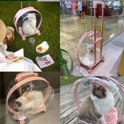 Transparent Pet Trolley Carrier