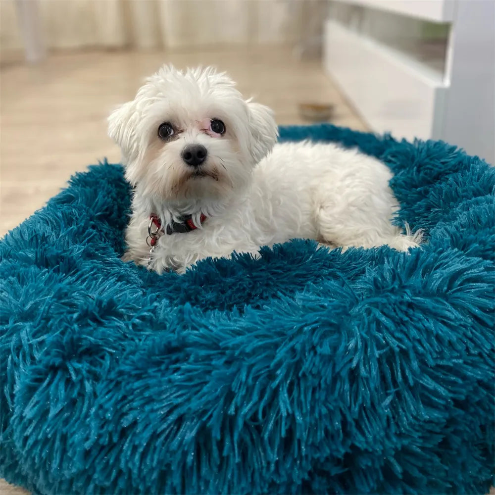 Super Soft Dog Donut Plush Bed