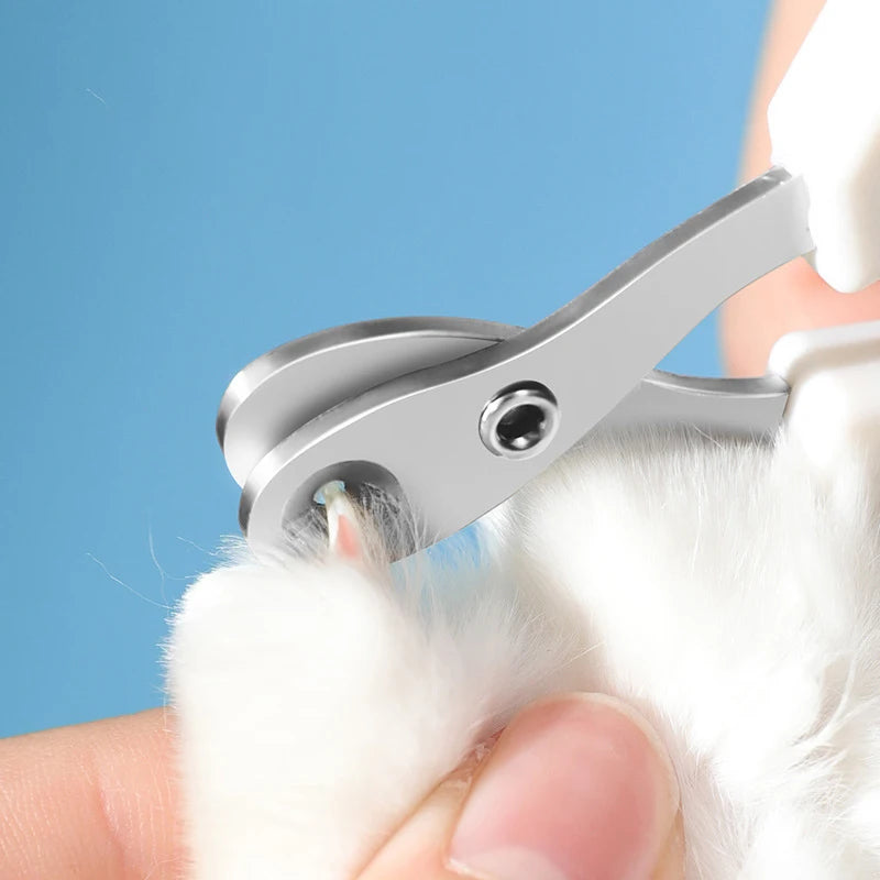 Coupe-ongles professionnel pour chat