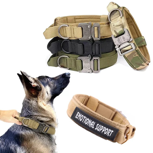 Collier de chien militaire tactique