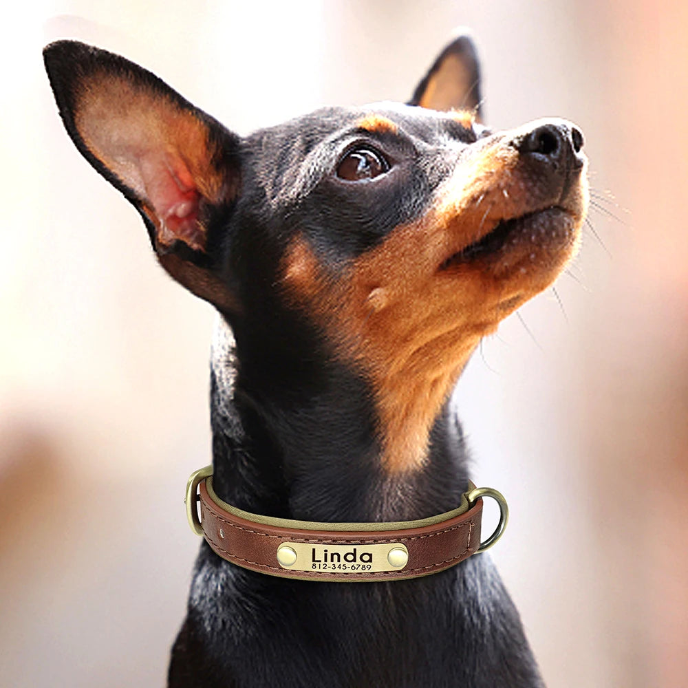 Collier pour chien en cuir personnalisé