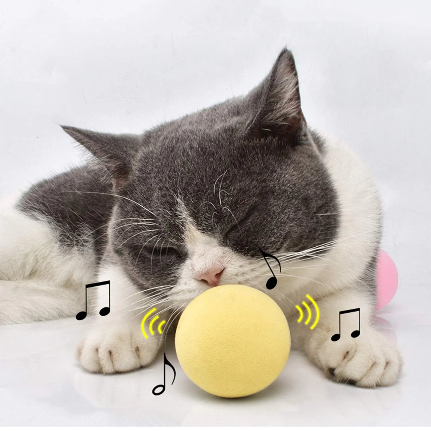 Catnip Smart Ball Toy