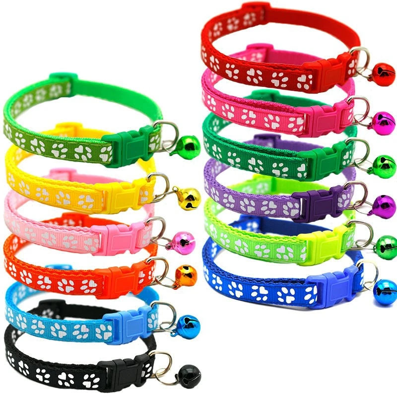 Vibrant Paw Print Cat Collar