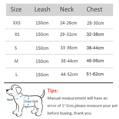 Ensemble de laisse de harnais réglable pour chien