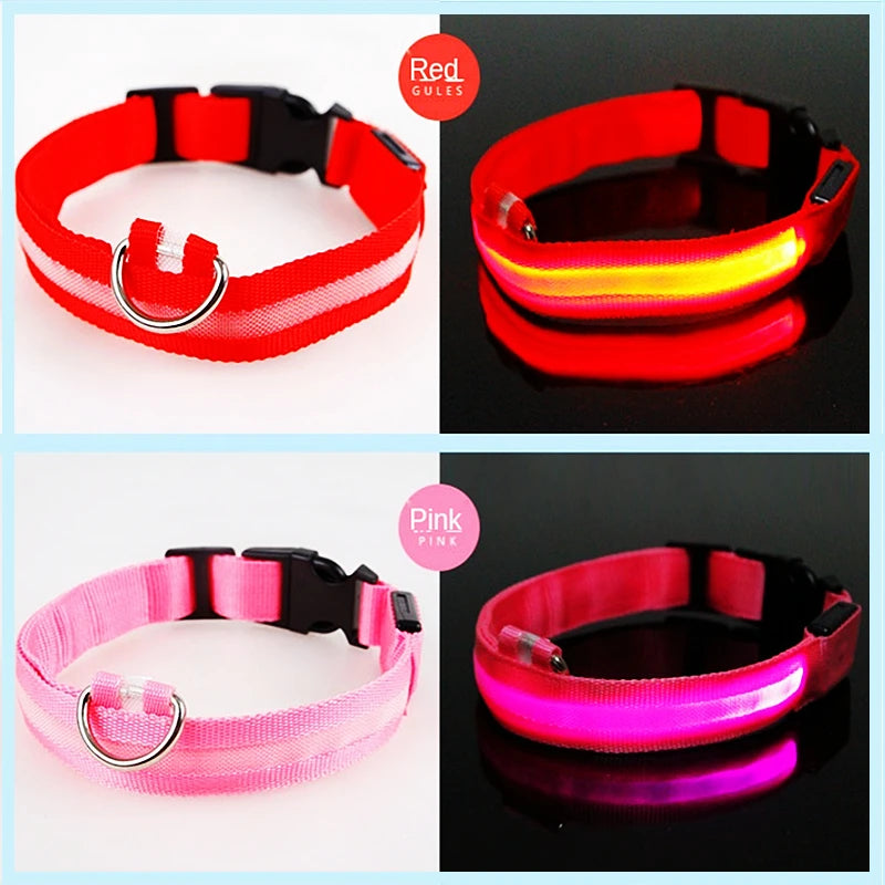 Collier de chien lumineux LED