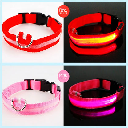 LED Glowing Dog Collar