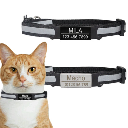 Custom Cat Safety Collar