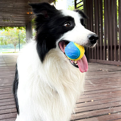 Jouet balle grinçante pour chien