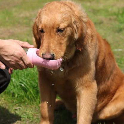 Bouteille d'eau portative pour chien