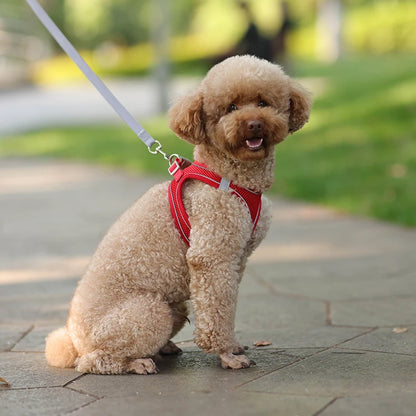 Adjustable Dog Harness Leash Set